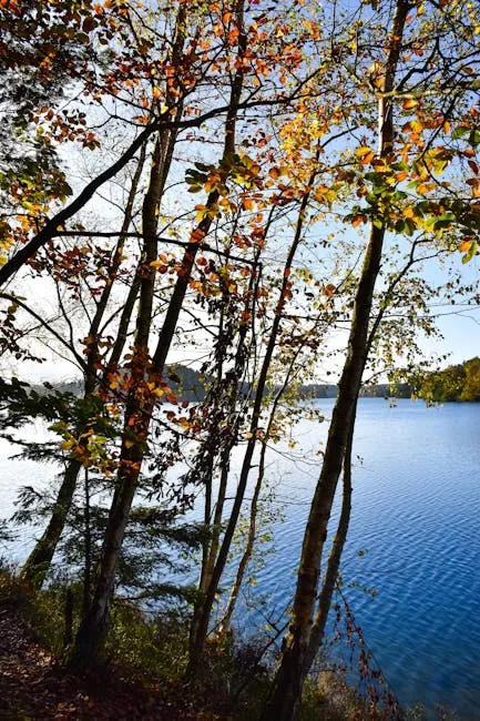 Grandes Caixas: A Legenda da Coleção Columbia Completa de Pierre Boulez