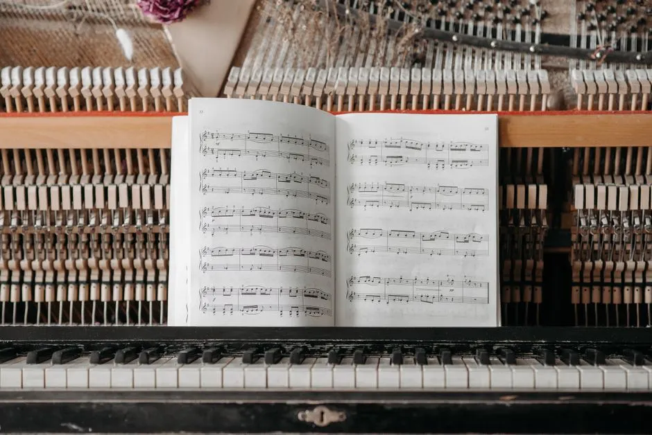 David Vernier: o legado do editor que ajudou a transformar a crítica de música clássica